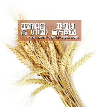 亚新体育 - 亚新体育（中国）官方网站-YAXINTIYU