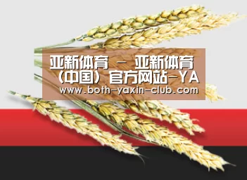 亚新体育 - 亚新体育（中国）官方网站-YAXINTIYU