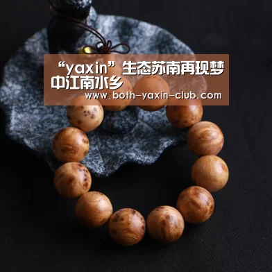 “yaxin”生态苏南再现梦中江南水乡(图2) 亚新官网