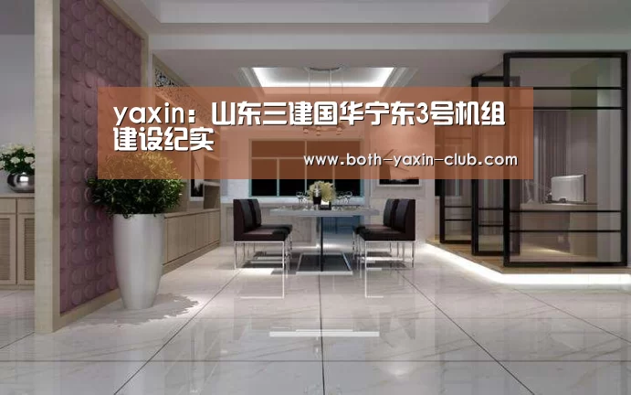 yaxin：山东三建国华宁东3号机组建设纪实(图1)