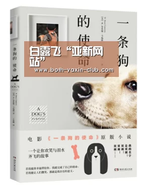 亚新app